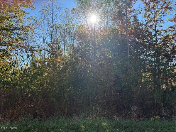 Pearl Avenue, Lorain, OH 44055