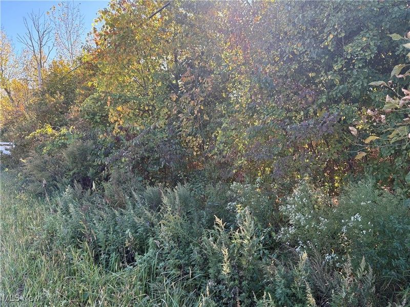 Pearl Avenue, Lorain, OH 44055 Photo 2