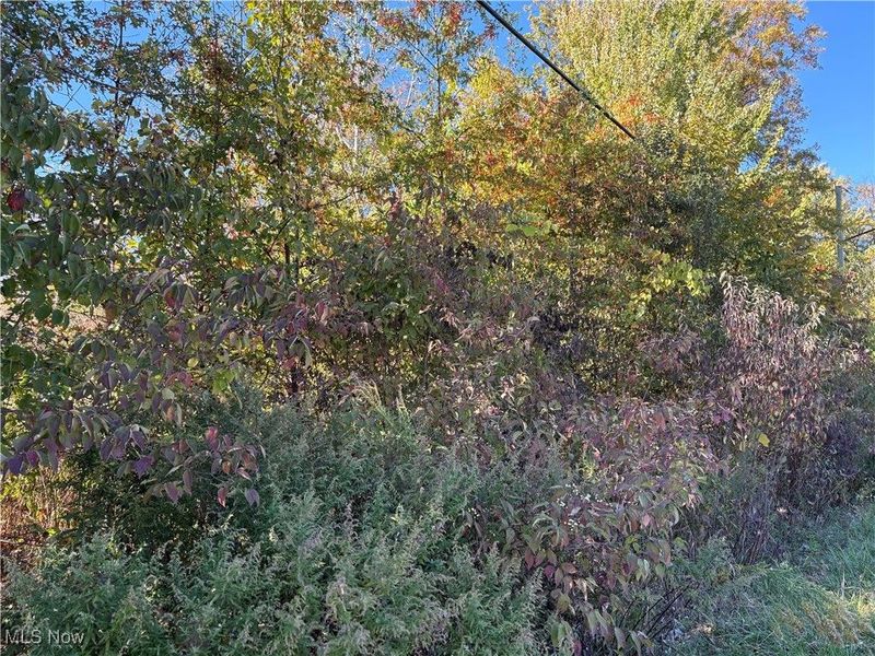 Pearl Avenue, Lorain, OH 44055 Photo 3