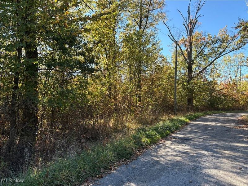 Pearl Avenue, Lorain, OH 44055 Photo 4