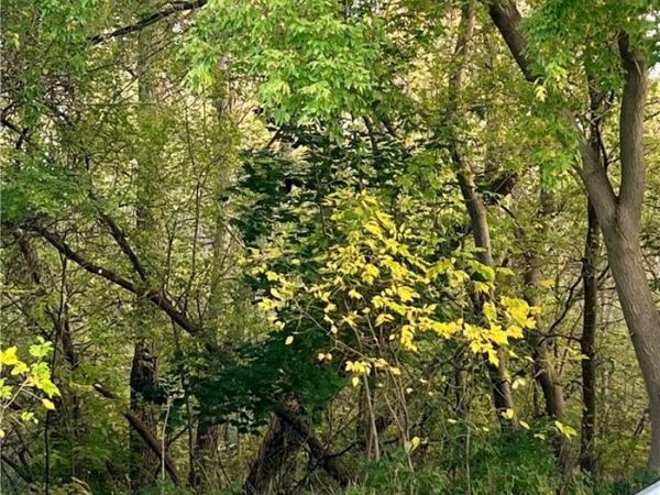 3568 W Lake Road, Wilson, NY 14172