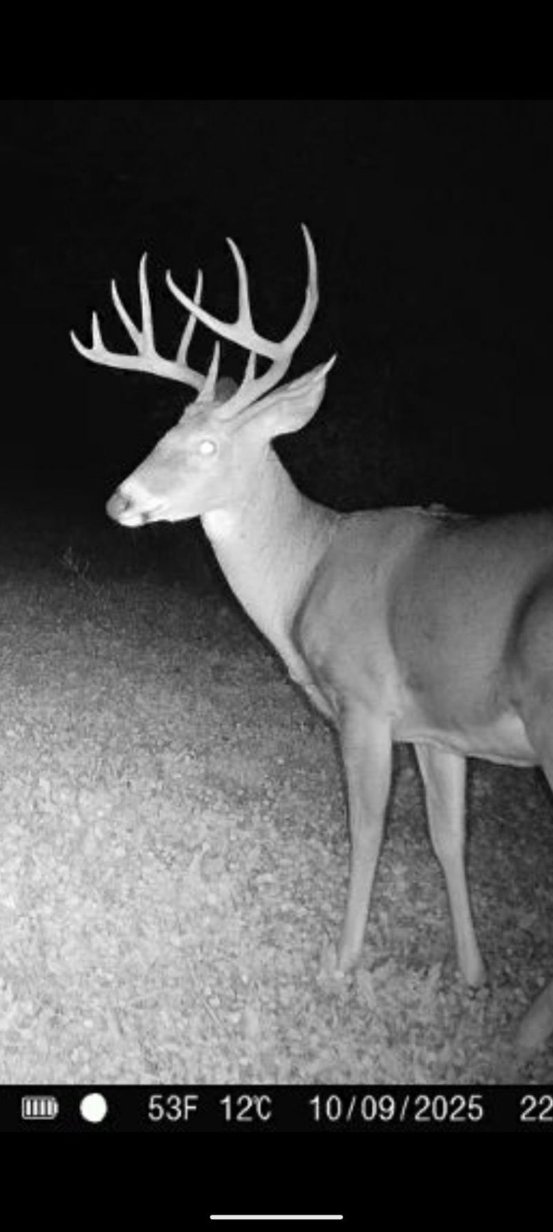 000 Us Highway 18, Prairie Du Chien, WI 53821 Main Photo