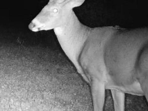 000 US Highway 18, Prairie Du Chien, WI 53821