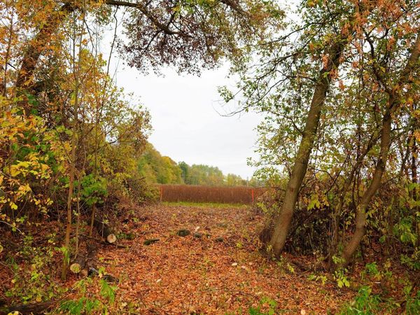 Lt2 County Road AS -, Adell, WI 53093