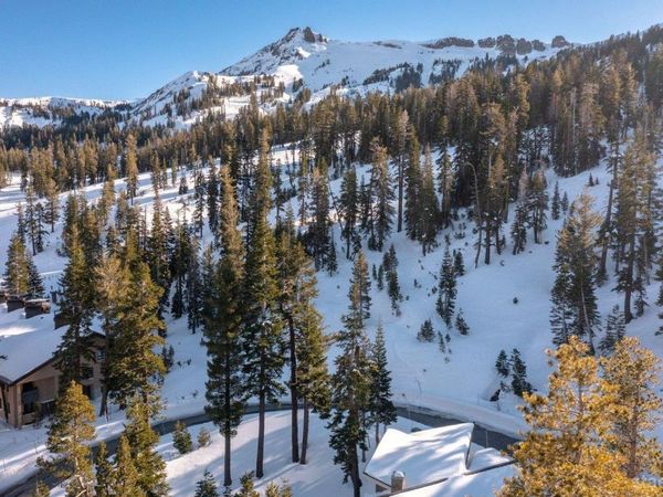 115 Palisades Drive, Kirkwood, CA 95646