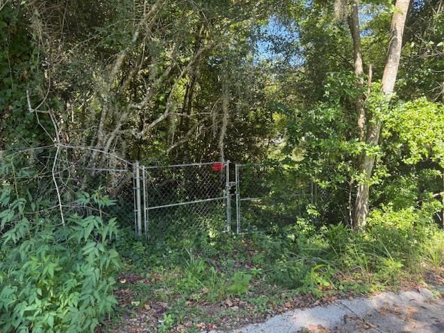 1107 Myers Park Drive, Tallahassee, FL 32301 Photo