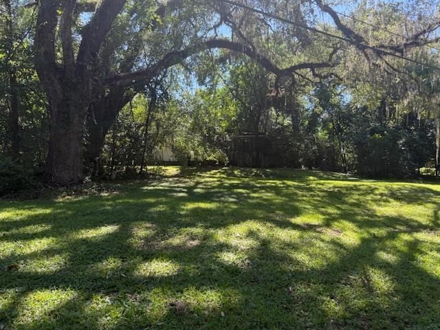 1107 Myers Park Drive, Tallahassee, FL 32301 Photo