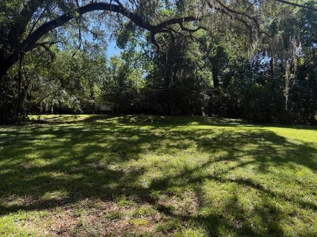 1107 Myers Park Drive, Tallahassee, FL 32301 Photo