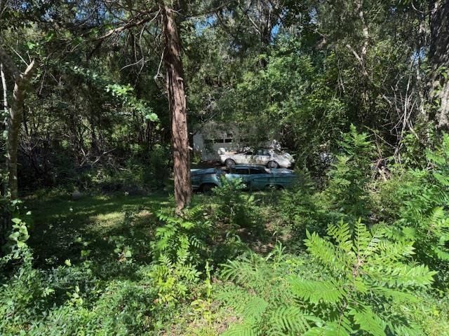 1107 Myers Park Drive, Tallahassee, FL 32301 Photo