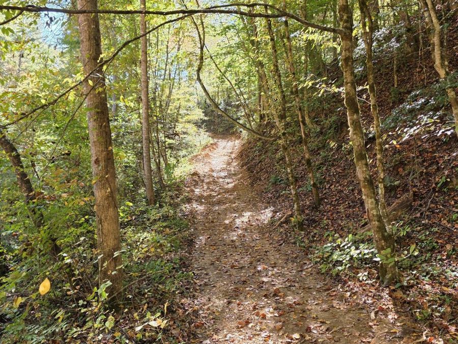 Property Image 21