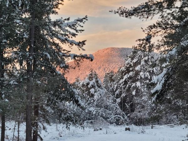 97 Pig Street, Brownfield, ME 04010