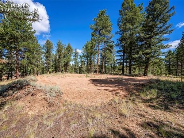 210 Donzi Trail, Florissant, CO 80816