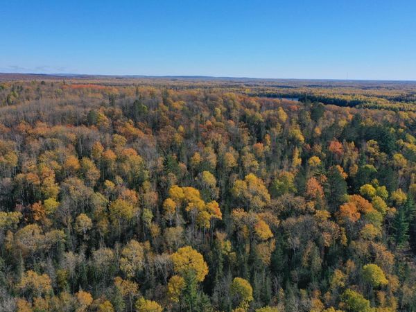 TBD French Rd., Chisholm, MN 55719