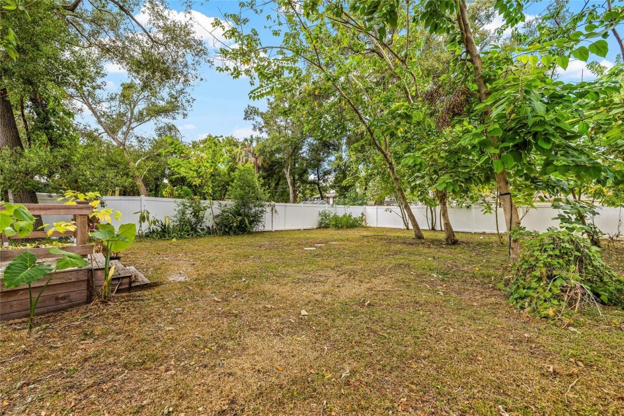 210 E Cluster Avenue, Tampa, FL 33604 Photo