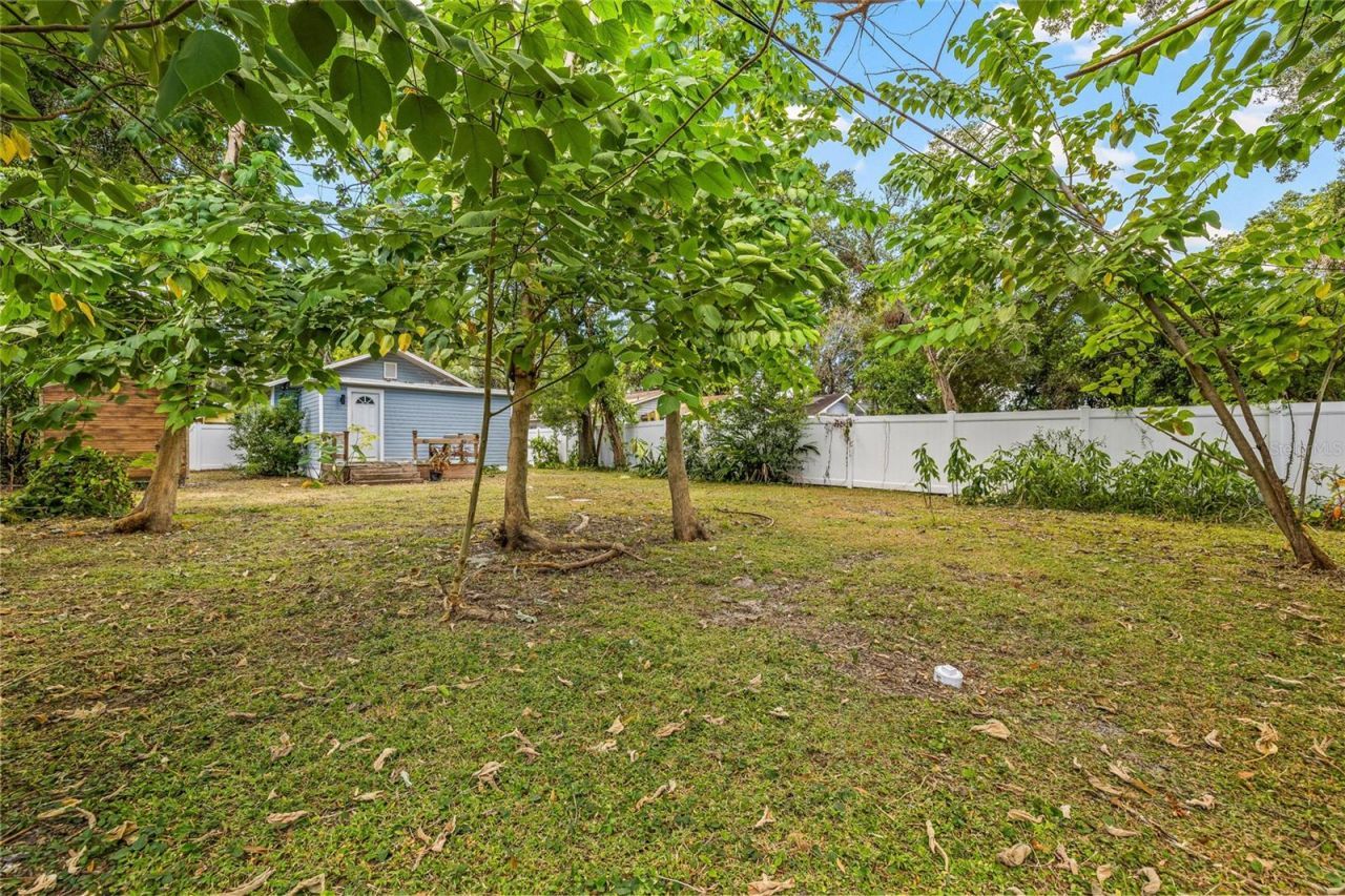 210 E Cluster Avenue, Tampa, FL 33604 Photo