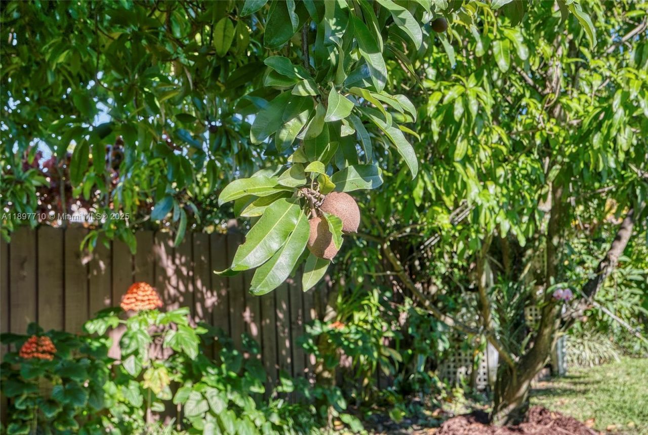 22000 SW 127th Ave, Miami, FL 33170 Photo