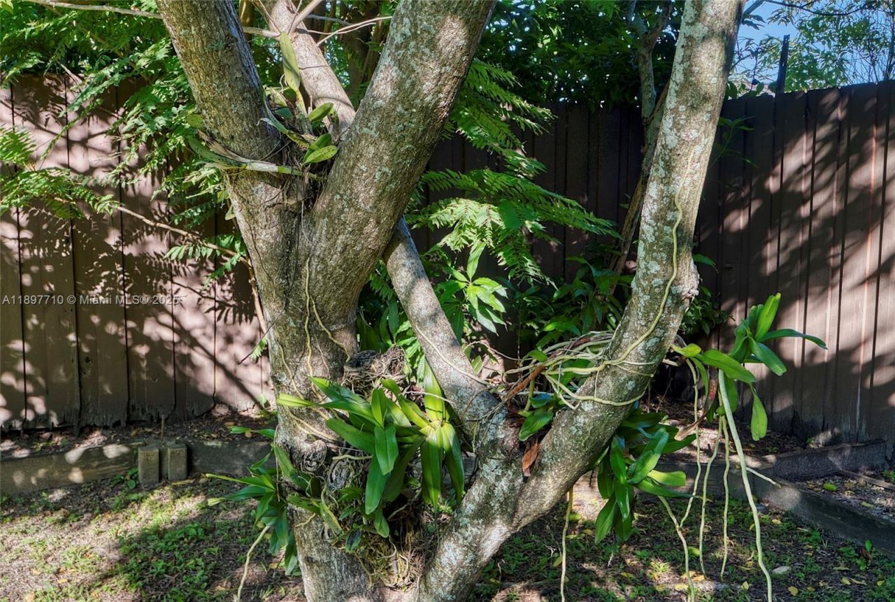 22000 SW 127th Ave, Miami, FL 33170 Photo