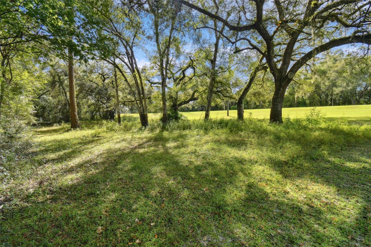 3384 Mckethan Road, Dade City, FL 33523 Photo
