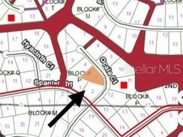 207 OCALA COURT, GEORGETOWN, FL 32139