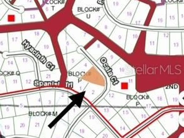 207 OCALA COURT, GEORGETOWN, FL 32139