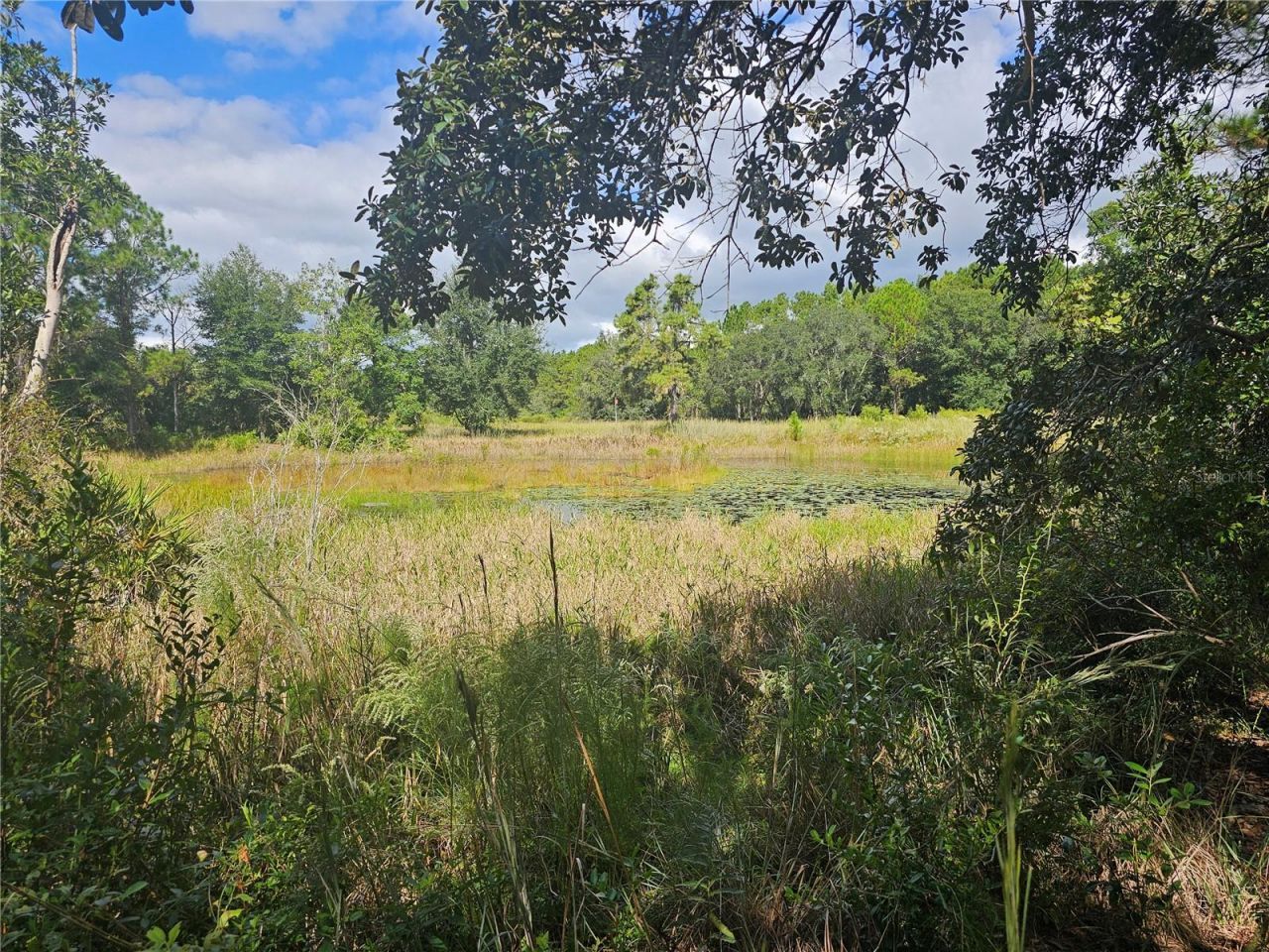 45070 Wild Acres Trail, Paisley, FL 32767 Photo