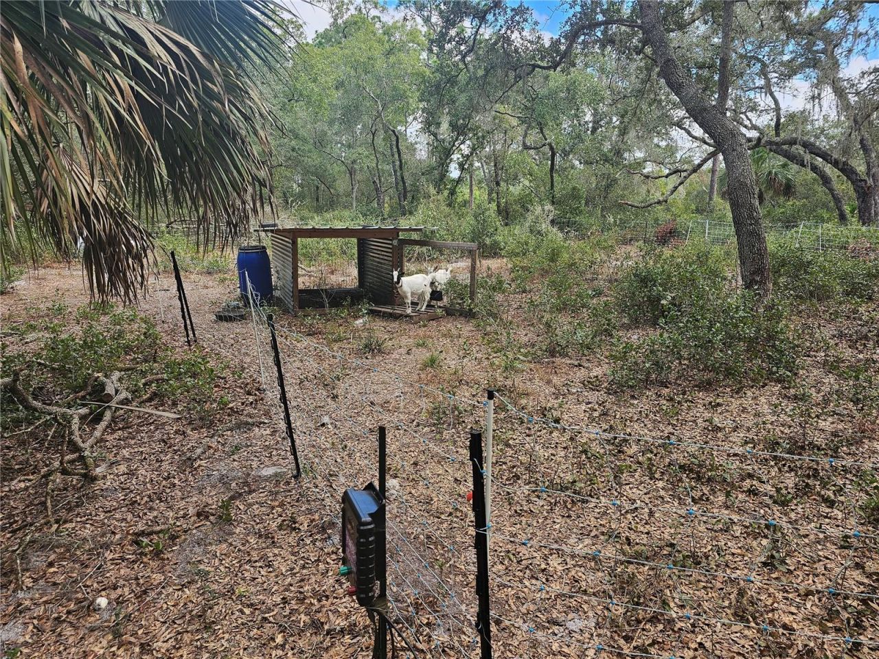 45070 Wild Acres Trail, Paisley, FL 32767 Photo