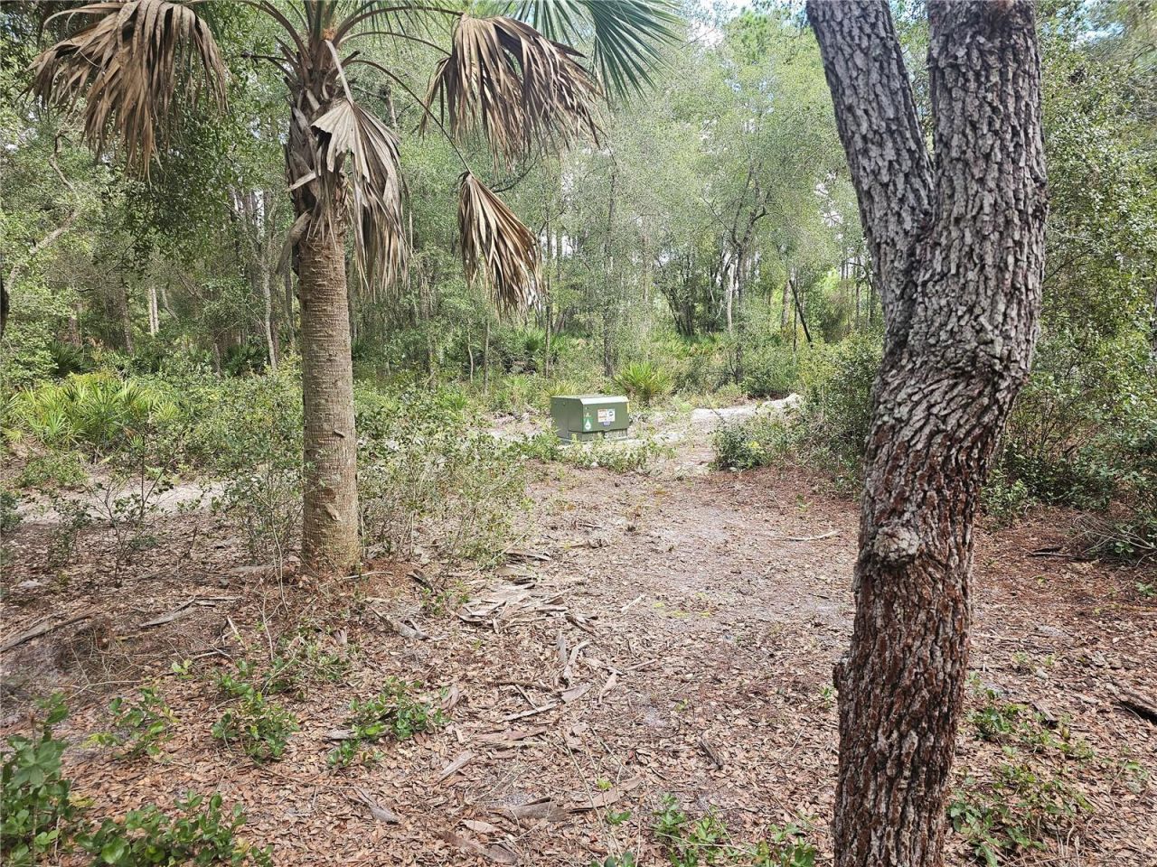 45070 Wild Acres Trail, Paisley, FL 32767 Photo