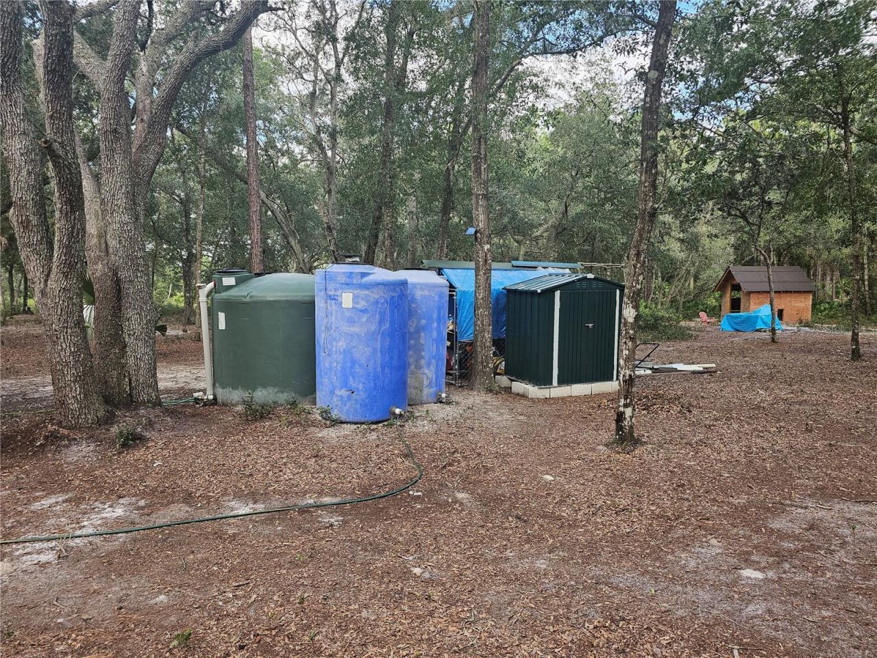 45070 Wild Acres Trail, Paisley, FL 32767 Photo