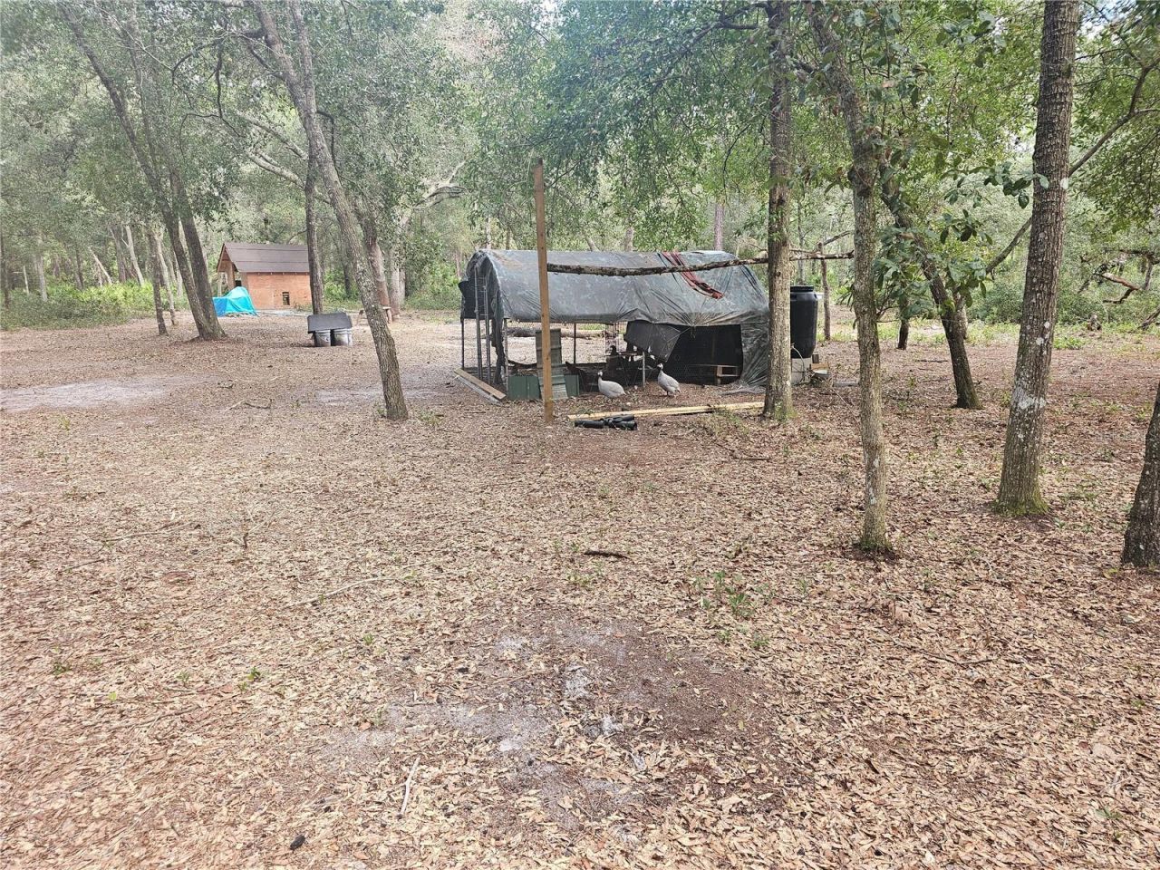 45070 Wild Acres Trail, Paisley, FL 32767 Photo