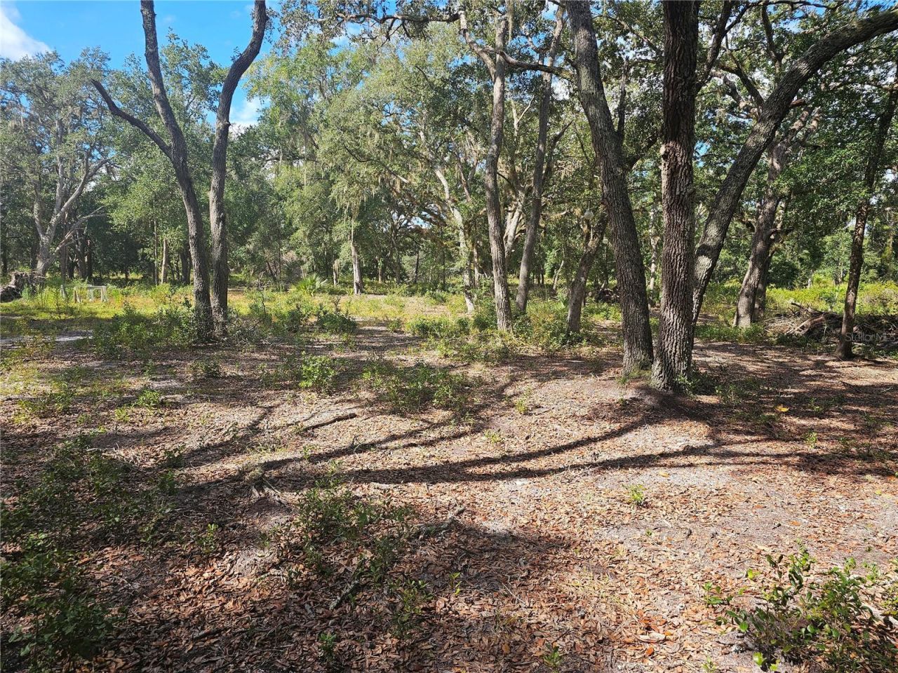 45070 Wild Acres Trail, Paisley, FL 32767 Photo