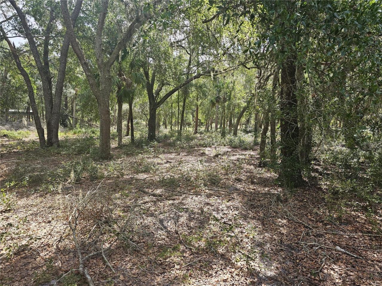 45070 Wild Acres Trail, Paisley, FL 32767 Photo