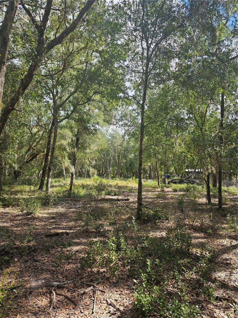 45070 Wild Acres Trail, Paisley, FL 32767 Photo