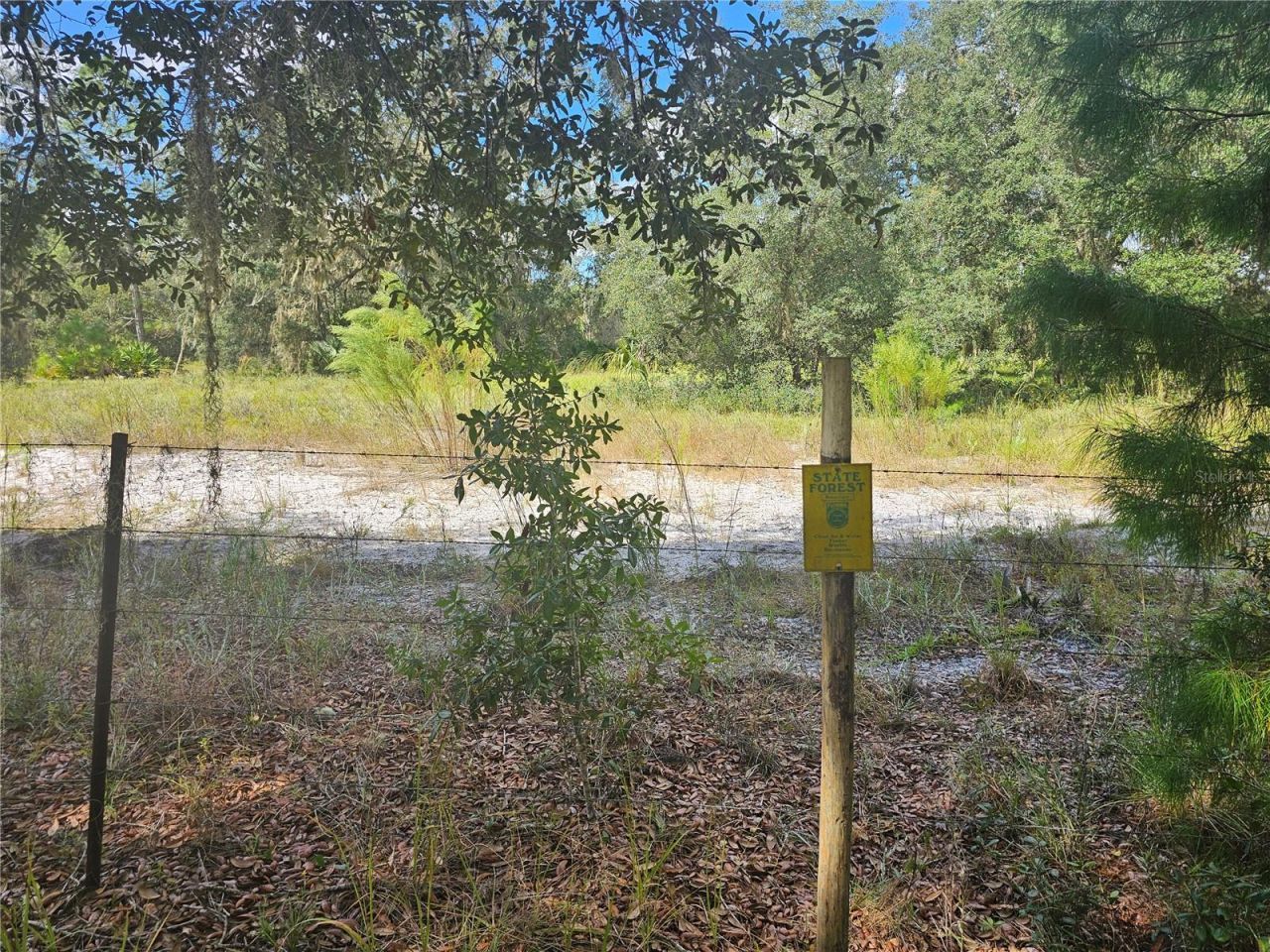 45070 Wild Acres Trail, Paisley, FL 32767 Photo