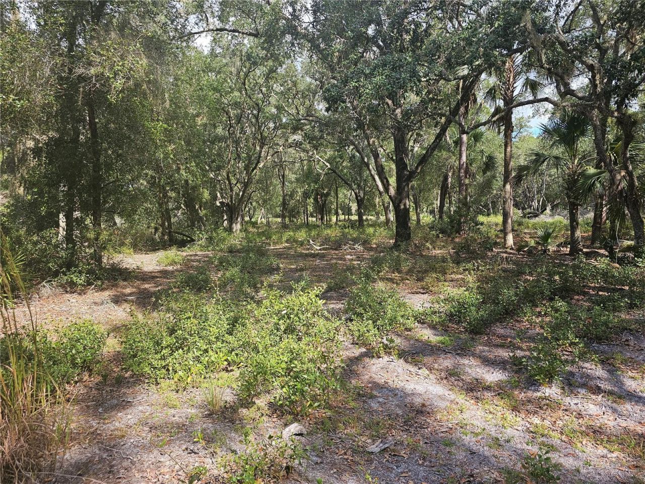 45070 Wild Acres Trail, Paisley, FL 32767 Photo