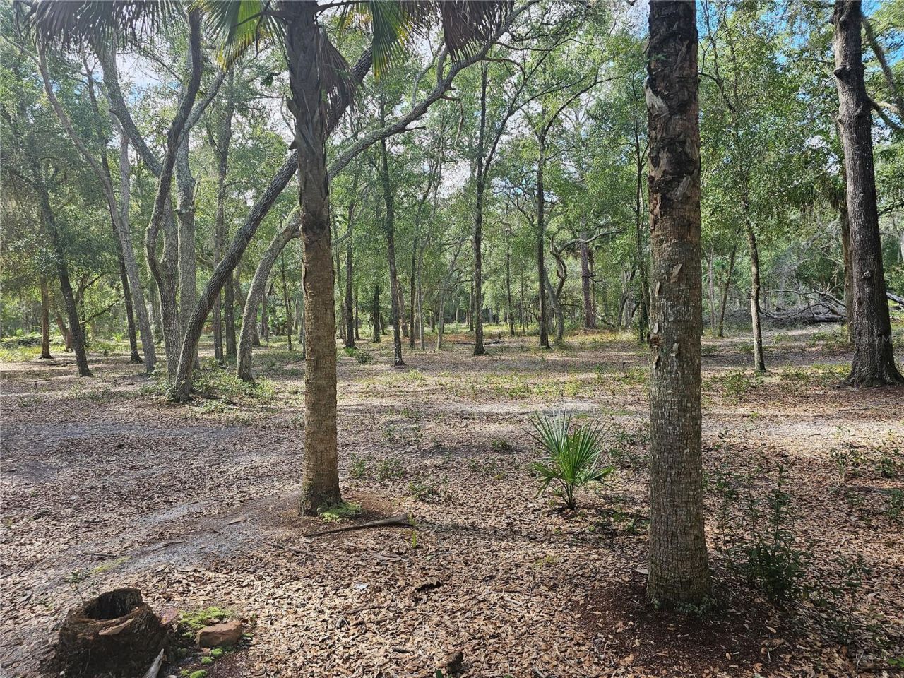 45070 Wild Acres Trail, Paisley, FL 32767 Photo