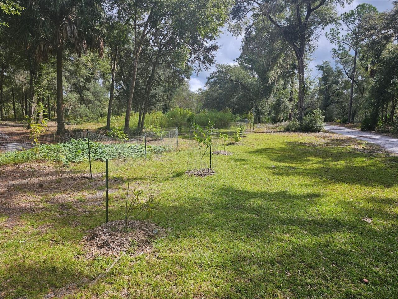45070 Wild Acres Trail, Paisley, FL 32767 Photo