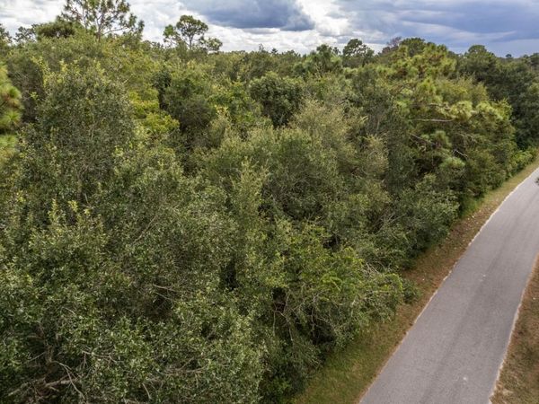 INTERLACHEN DRIVE, MOUNT PLYMOUTH, FL 32776