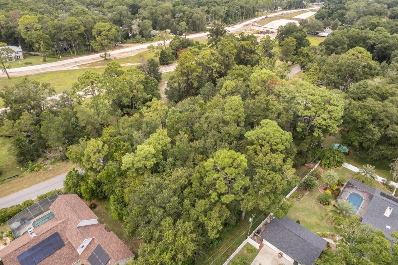 Interlachen Drive, Mount Plymouth, FL 32776 Photo