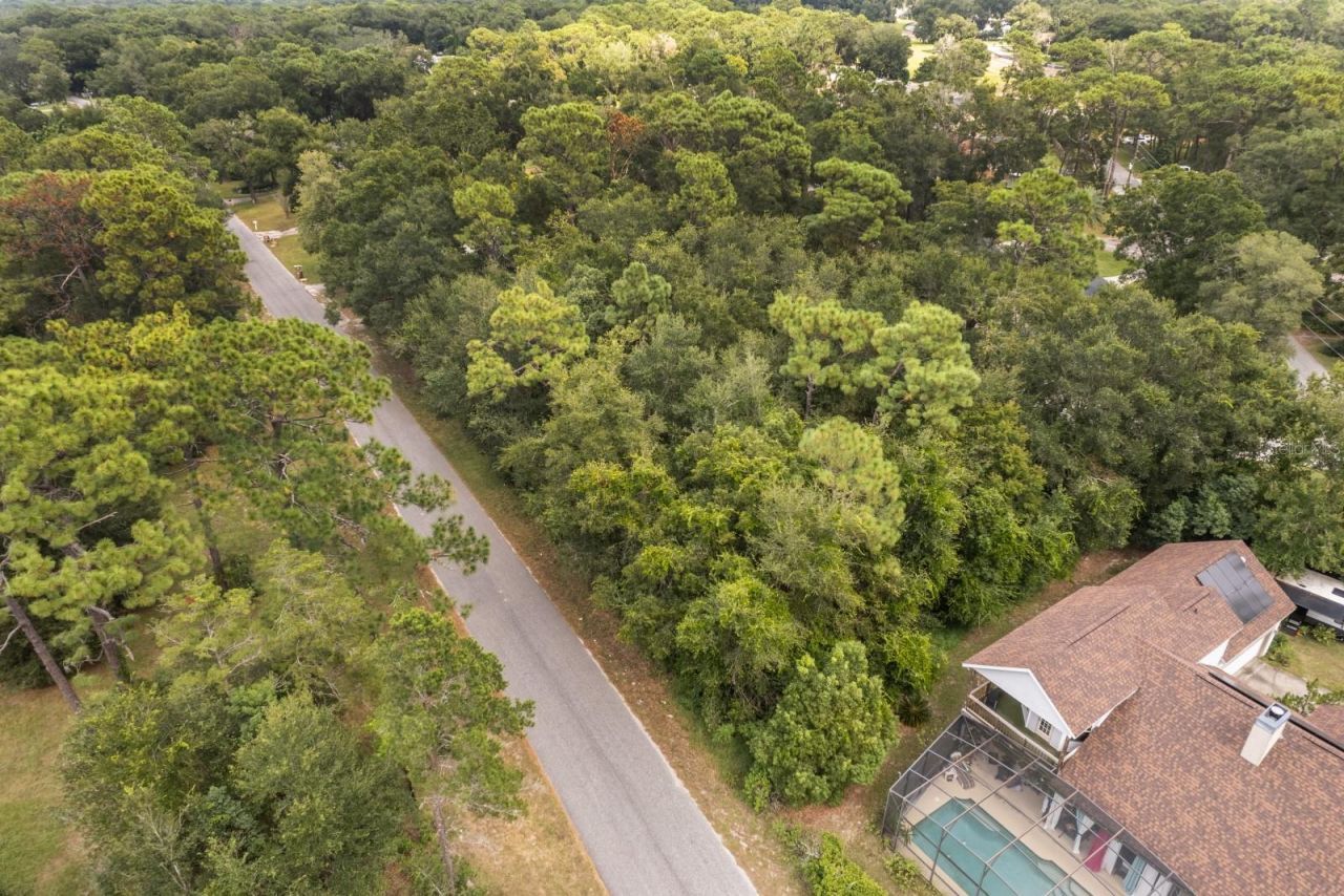 Interlachen Drive, Mount Plymouth, FL 32776 Photo