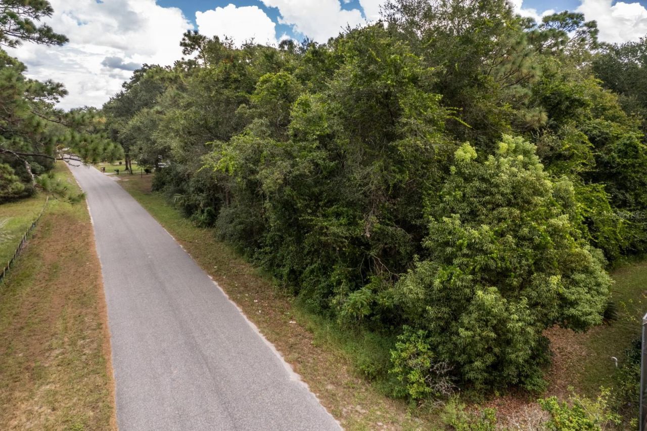 Interlachen Drive, Mount Plymouth, FL 32776 Photo