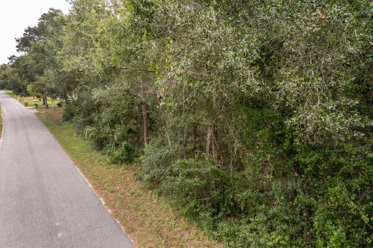 Interlachen Drive, Mount Plymouth, FL 32776 Photo