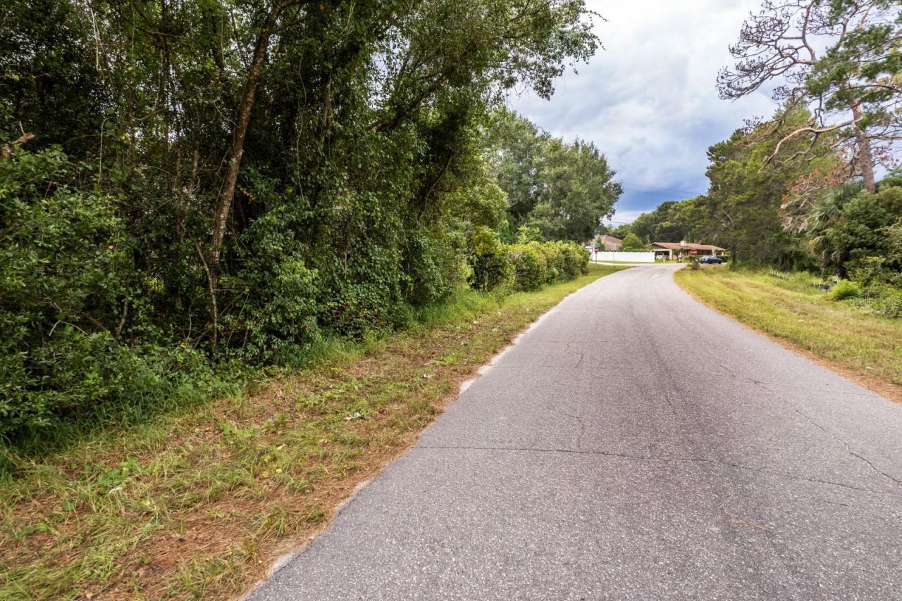 Interlachen Drive, Mount Plymouth, FL 32776 Photo