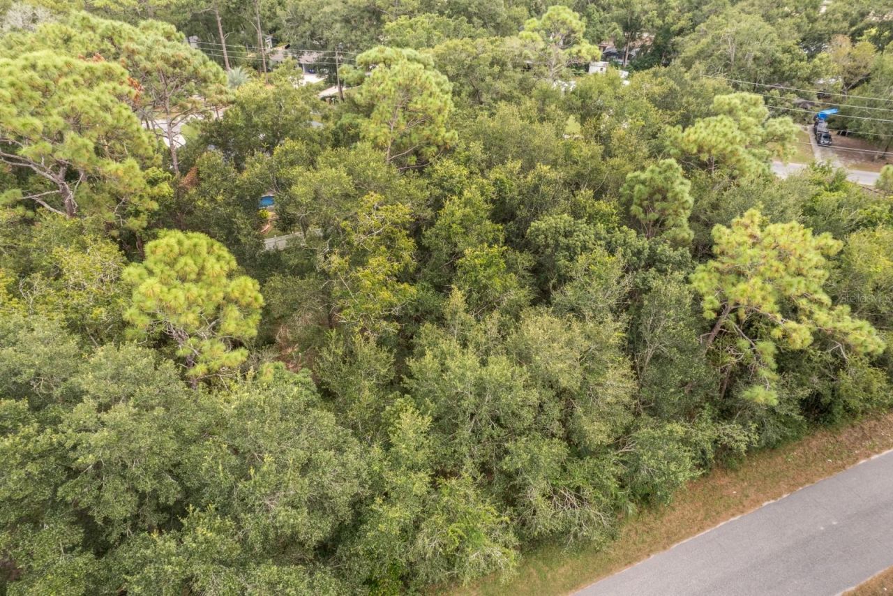 Interlachen Drive, Mount Plymouth, FL 32776 Photo