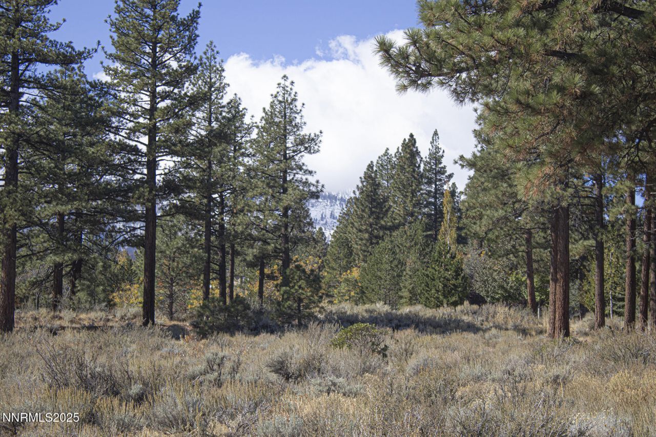 177 Nottingham Court, Reno, NV 89511 Photo