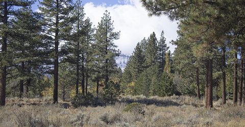 177 Nottingham Court, Reno, NV 89511 Photo