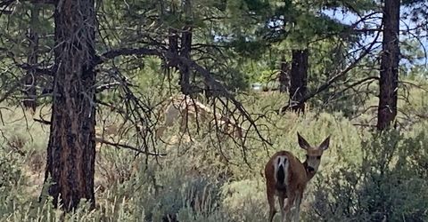 177 Nottingham Court, Reno, NV 89511 Photo