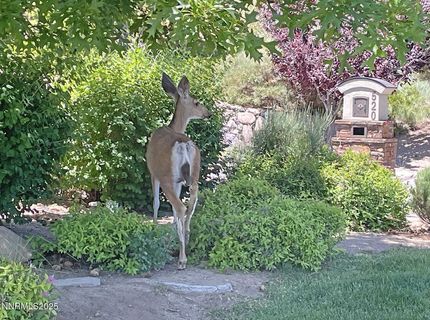 177 Nottingham Court, Reno, NV 89511 Photo