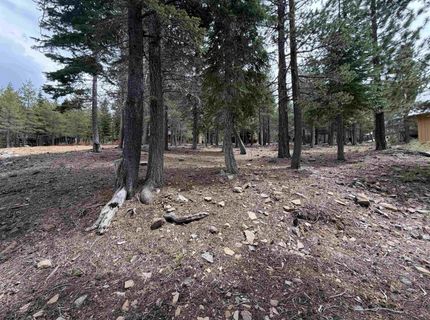 13938 Northwoods Boulevard, Truckee, CA 96161 Photo