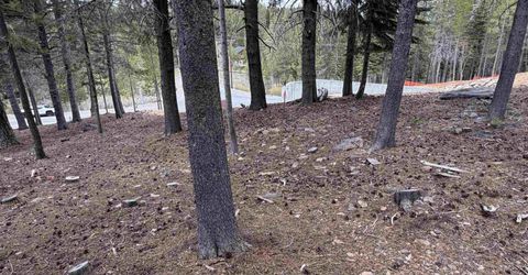 13938 Northwoods Boulevard, Truckee, CA 96161 Photo
