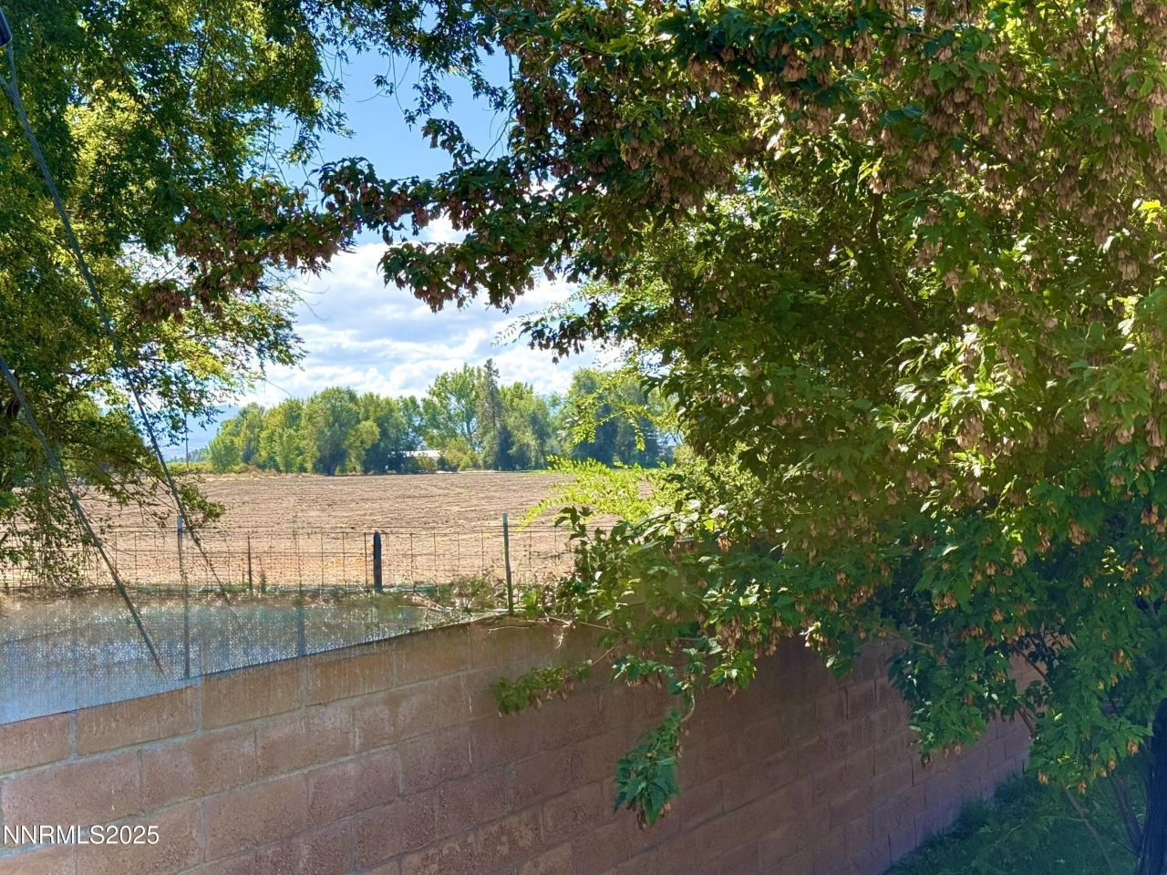 1616 Belarra Drive, Minden, NV 89423 Photo